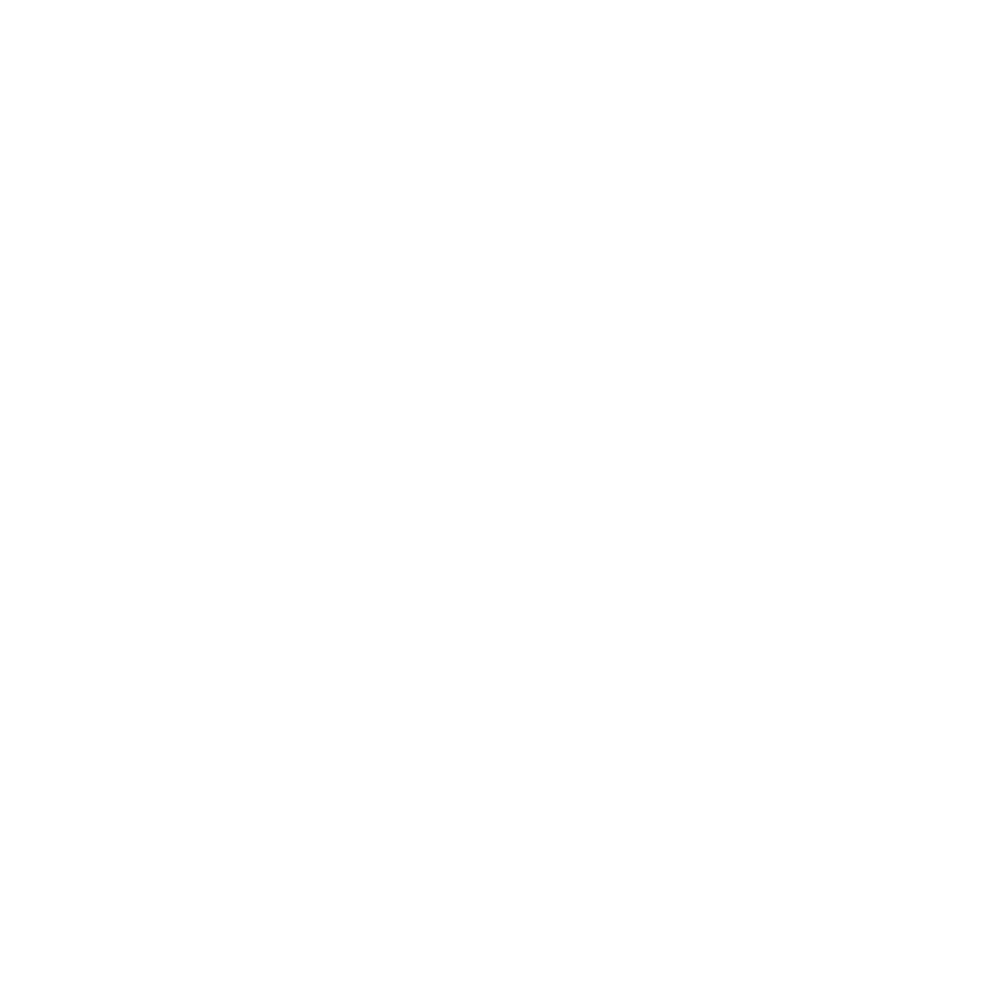 logo steniole blanc transparent